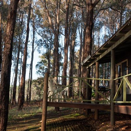 Balingup Heights Hilltop Forest Cottages Exteriér fotografie