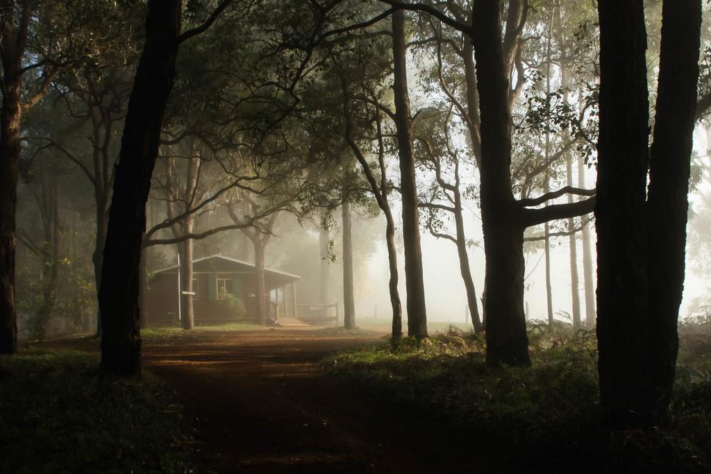 Balingup Heights Hilltop Forest Cottages Exteriér fotografie