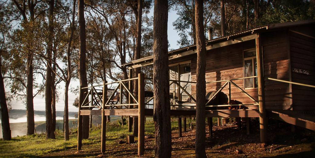 Balingup Heights Hilltop Forest Cottages Pokoj fotografie