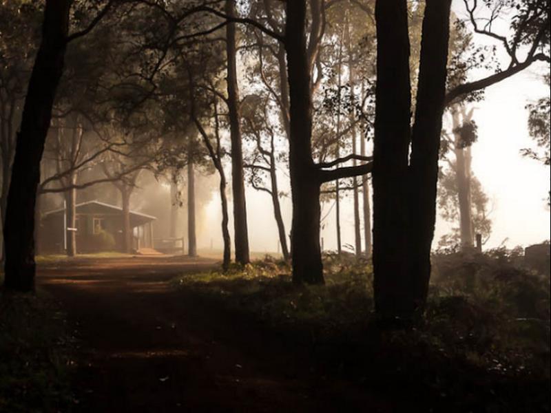 Balingup Heights Hilltop Forest Cottages Exteriér fotografie