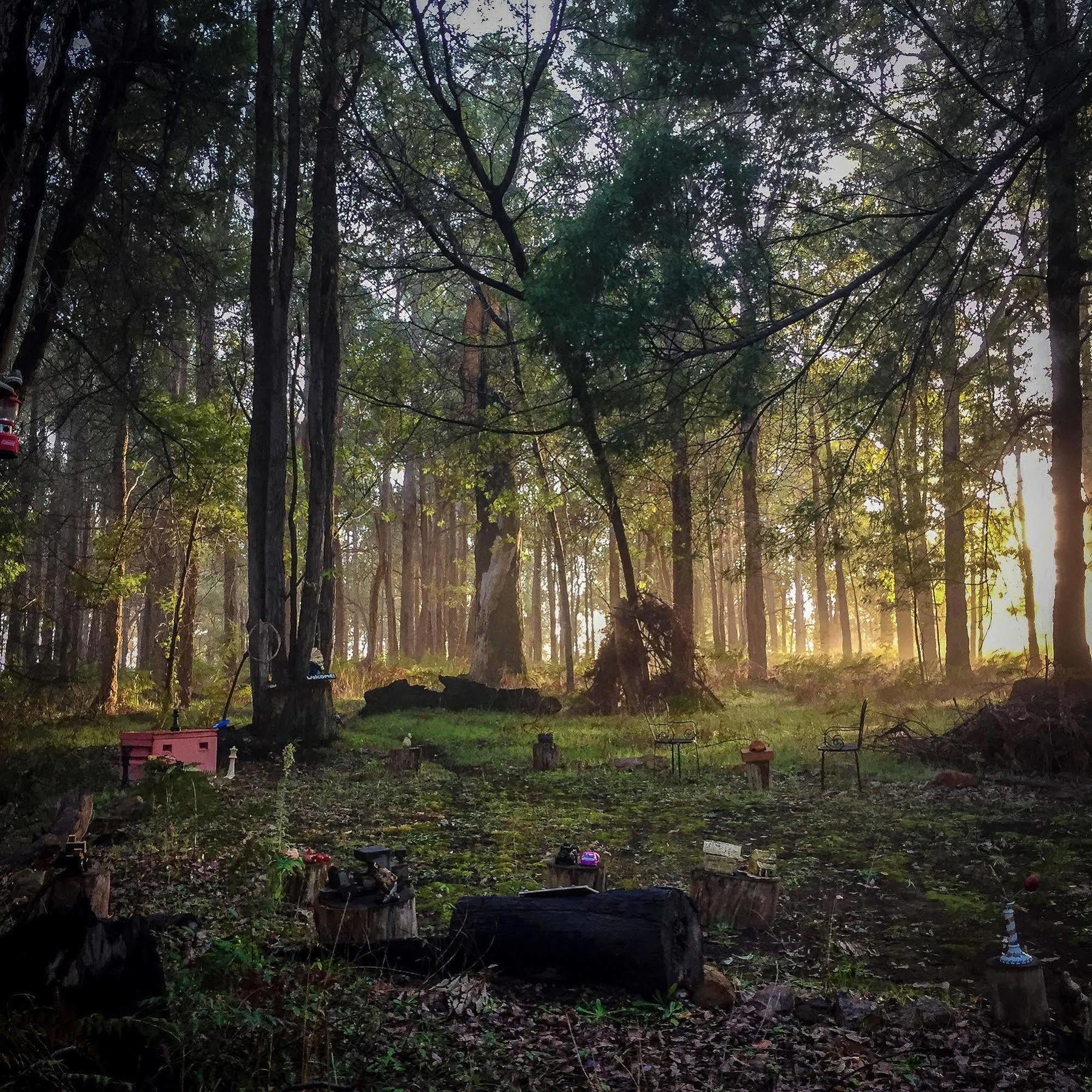 Balingup Heights Hilltop Forest Cottages Exteriér fotografie